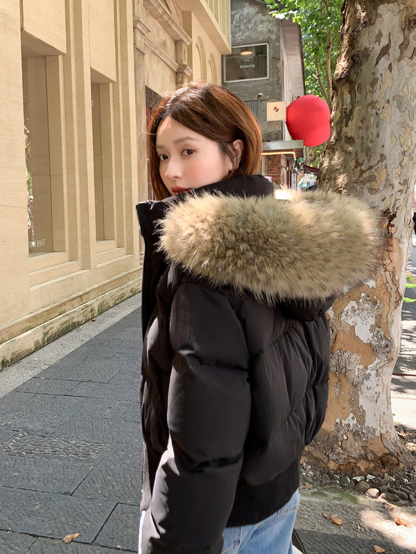 2025冬短款大毛领羽绒服女美式复古收腰显瘦高级感个性白鸭绒外套|undefined