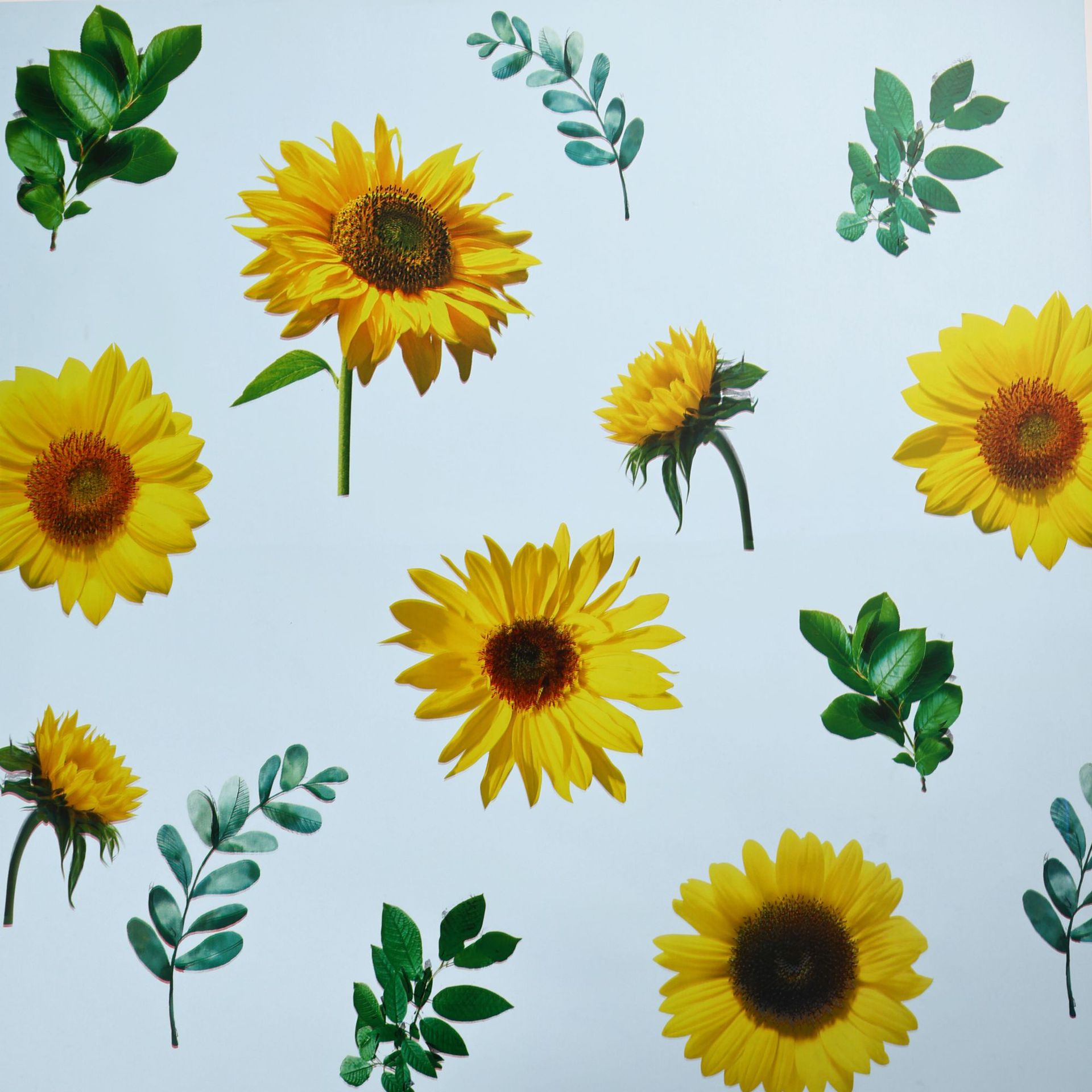 하늘색;57x57cm±5%