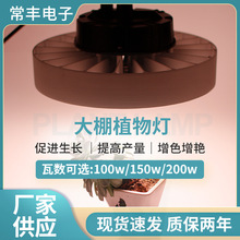 �F؛���Ҵ���ֲ������L������150W200Wȫ���V���r���a�������