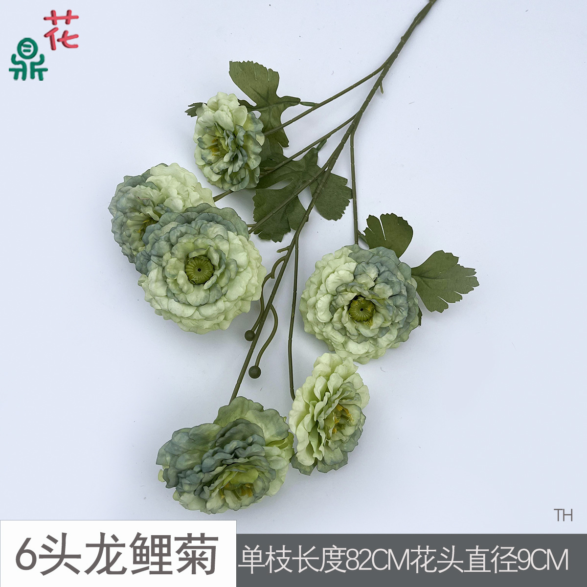6등룡잉어 국화 TH 그린