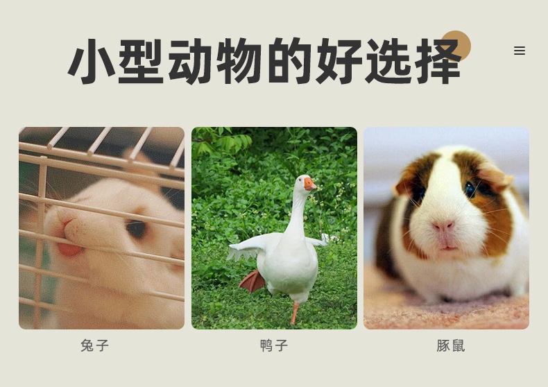 Pet cage (plastic material) details_05.jpg