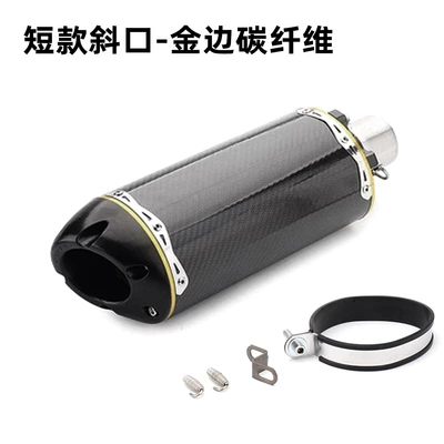 Exhaust Pipes Z900 Cbr500R, Exhaust pipe - short-beveled-gold-edged-carbon-fiber
