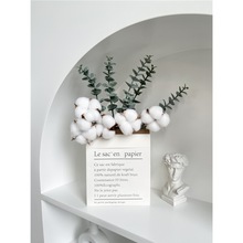 2026韩风ins绿植树叶创意北欧家居装饰品尤加利纸袋干棉马年