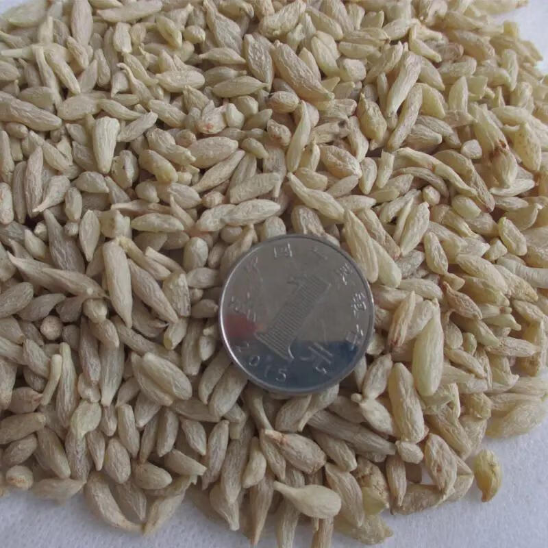 Premium Mai Dong Ophiopogon Root Tea 500g Sulfur-Free Sichuan Dried Herb for Soup and Decoction specifications