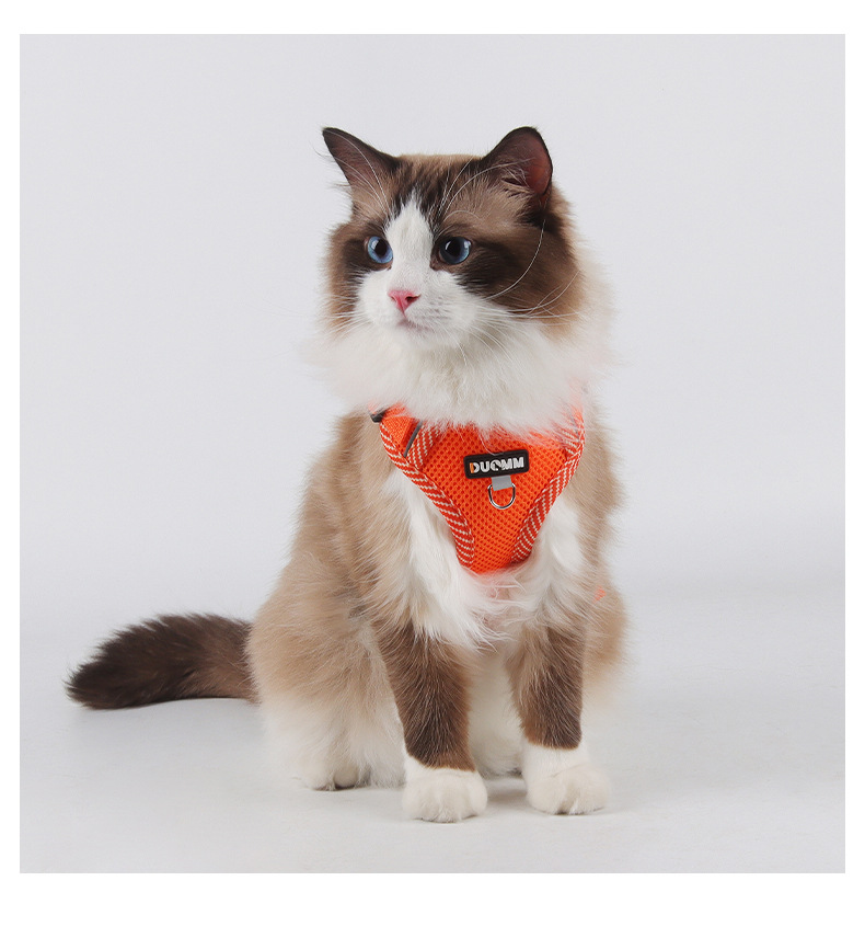 Pet Harness And Leash Set For Cats And Dogs Lightweight Vest_voghion.com
