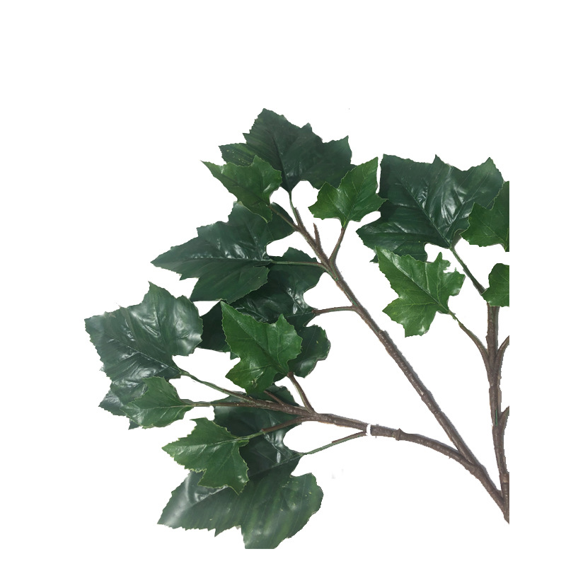 XRB-267 梧桐叶三叉枝 (1).jpg