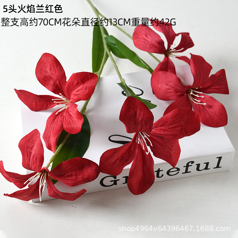 5 헤드 플레임 블루 레드