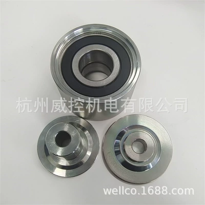 Remen gəricisi Belt Tensioner 504078065