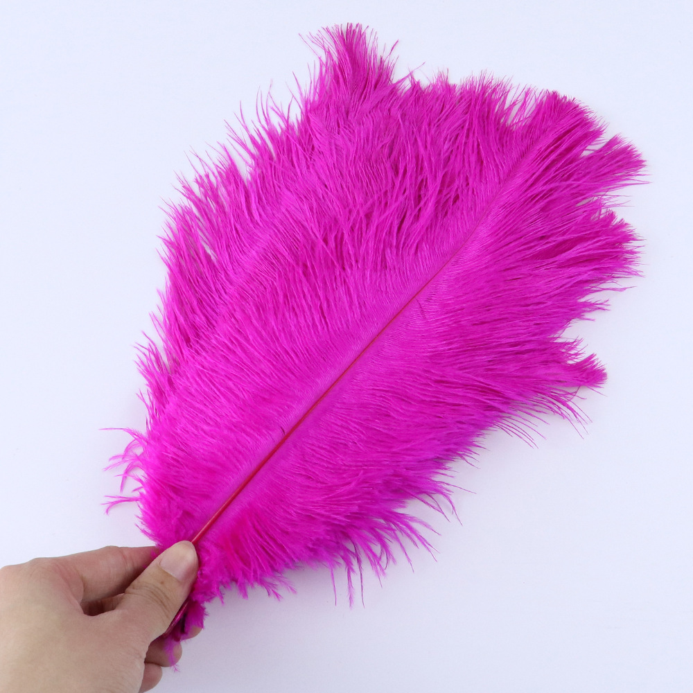 로즈 레드 20-25cm, 10개입