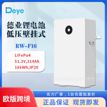 Deye�I�ڒ�ʽ�͉��늳ؚW��IP20���o51.2V314Ah 16��� RW-F16