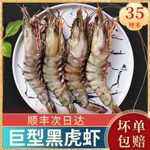 黑虎虾鲜活超大老虎虾特大越南进口大虾冷冻海鲜生冻野生斑节虾
