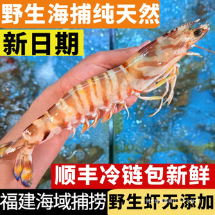 �߹��r���r�Ź��r�����r���r�r���ك��ڻ��r�ش��r�ڻ��r���r
