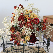 ɻõLɚWLb^NޱС^ϸɻɿl