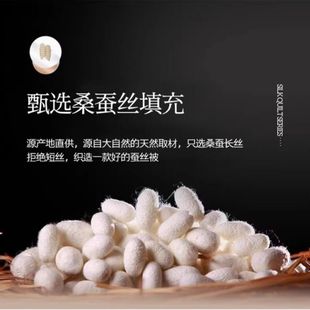 ✅ Tongxiang Silk Quilt 100% Mulberry Silk Spring and Autumn Quilt Summer Cooling Quilt Air Conditioning Quilt Student Quilt Quilt Core Plus