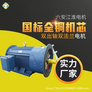 六安江淮电机厂家直供双出轴双法兰电机30kw37kw高效节能全铜线圈