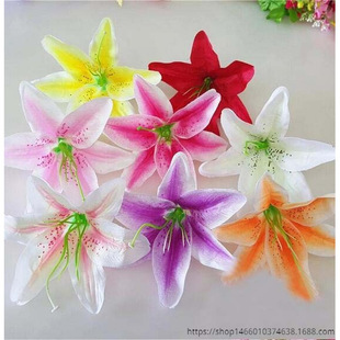 13cm�b��İٺϻ��� ���滨�ٺϻ��^ �x�����Q���������m