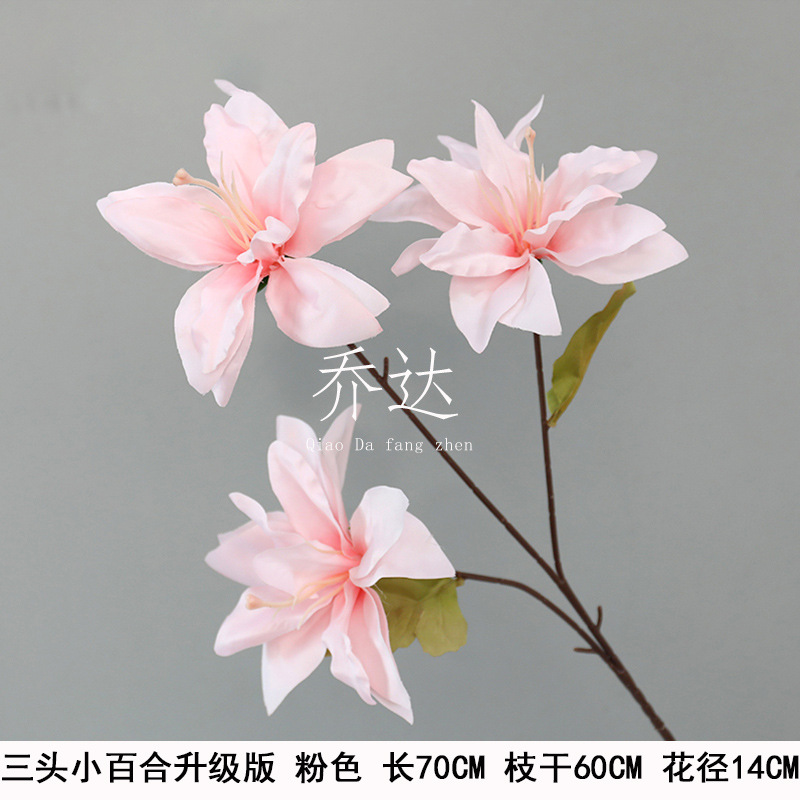 Three-headed small lily