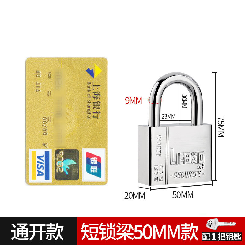 짧은 자물쇠 50개 [열림] 열쇠 1개 [엔지니어링 스타일]