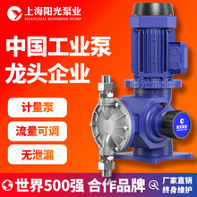 DJ-D型机械驱动隔膜式计量泵厂家阳光泵业多材质可定 定金