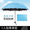 [开花伞中蓝]