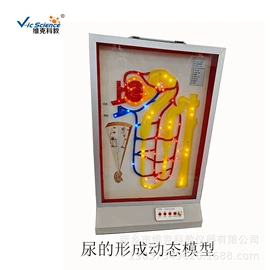 生物教学器材;医药教学器材;教学演示用品