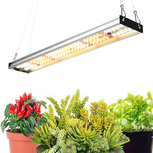 ledֲ������Ӱ��L�l�a���ȫ���V�Gֲ���ܶ����߲����L���羳100