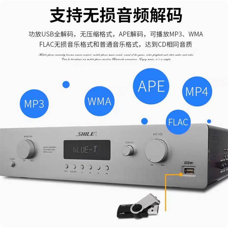 Li Le AV - 24 reunión familiar tienda de doble propósito amplificador de potencia Bluetooth amplificador de sonido de karaoke de fiebre HIFI