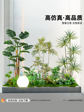 �پGֲ�쾰���^�M���҃ȴ��ͷ�����ؔ[�����Ը�Ʒ�|�����Gɫֲ��