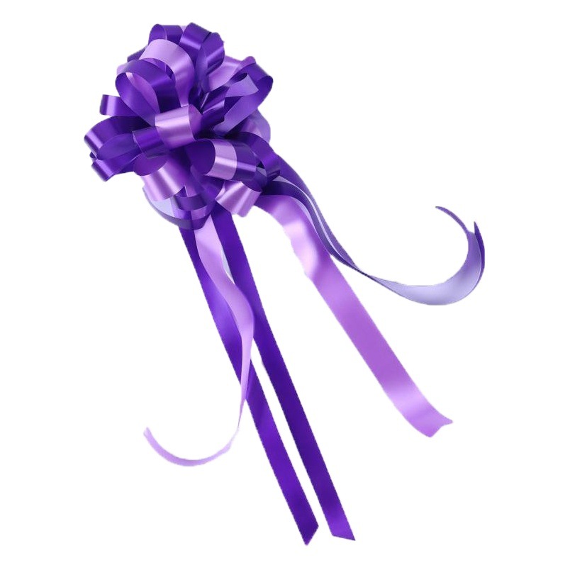 Paquete de 10 nuevos estilos, color perezoso, lazo grande, flores de tirón, floristería, materiales de embalaje, accesorios, suministros