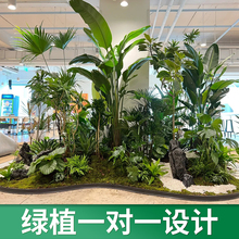 仿真绿植造景组合橱窗装饰假植物景观造景庭院过道树室内阳台软装
