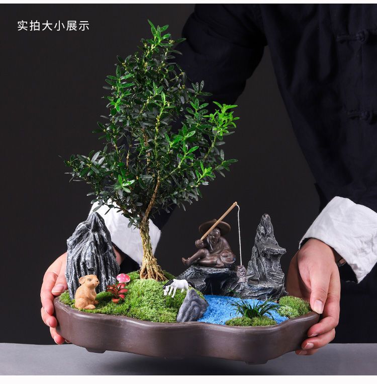 详情图
