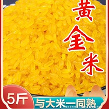 ���ږ|���S���״ּZճ�����Ŵ���������S����10��Ǵ�������خa