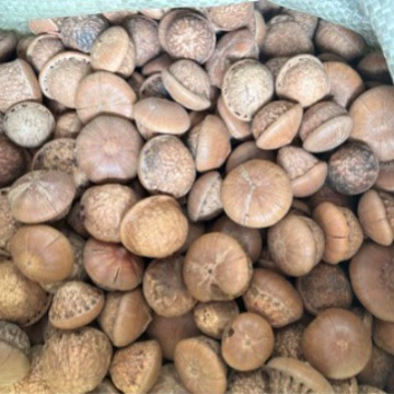 Оптовая продажа Feng Liu Fruit Tianzhu Bodhi Seeds