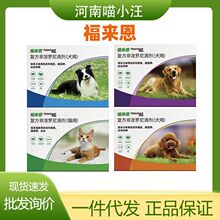 ������ �����w����x؈�乷���΄�����Ȯ����ȮС��Ȯͨ�Ç����