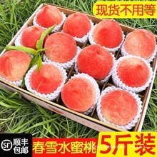现货春雪水蜜桃5斤 冬脆桃毛桃当季时令孕妇桃子水果新鲜当季整箱
