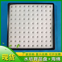 �����бPѿ���ˮ���o�������~�˼�ͥˮ���ɫ����P�A�׺��d