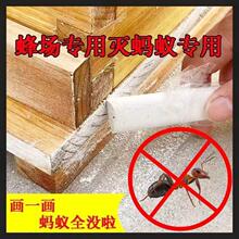 蟑蚁净】_蟑蚁净品牌/图片/价格_蟑蚁净批发_阿里巴巴