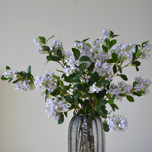 ���ů��Ҿ��b��滨���l������ǧ���㶡�㻨�͏d�ٻ��͏d��ˇ