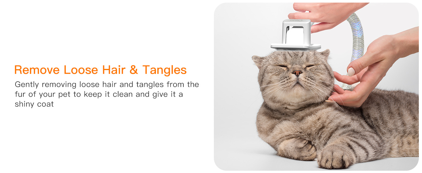 Pet Grooming Vacuum Clipper 9