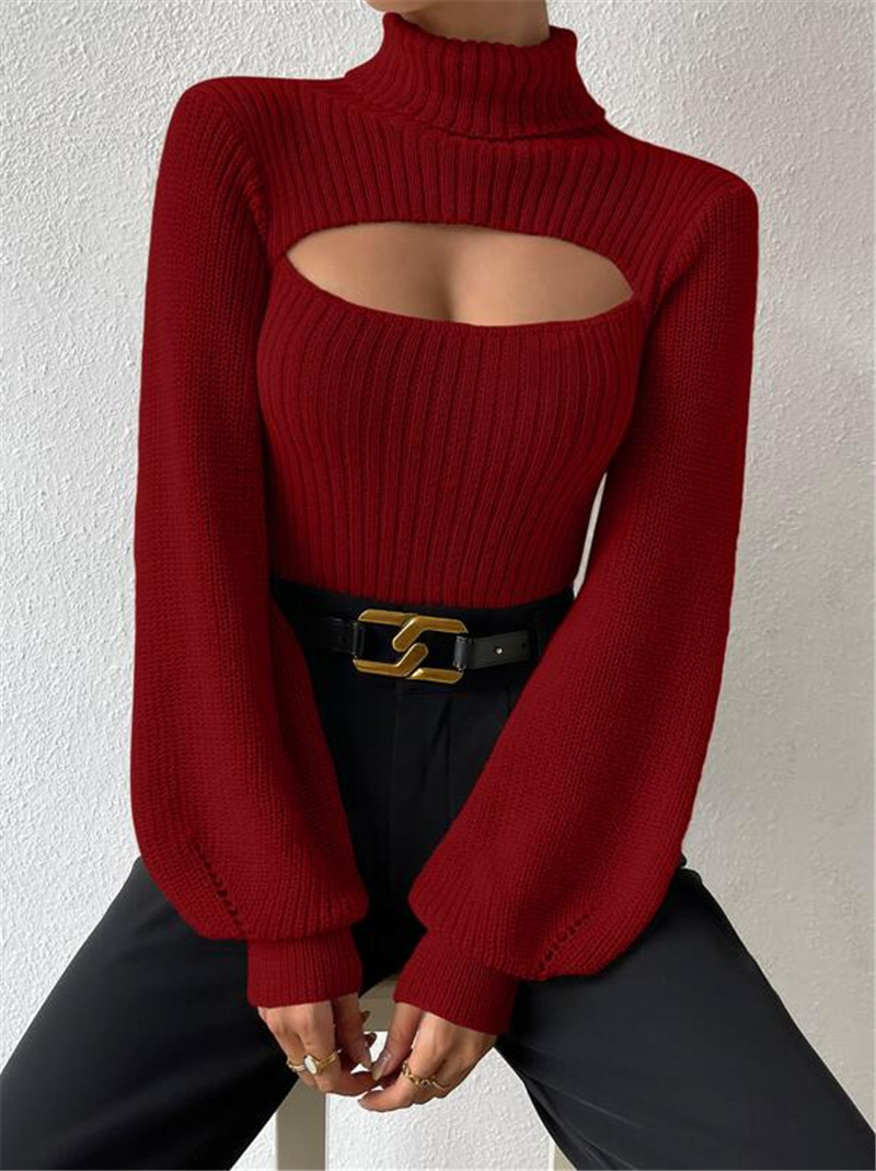 Women's Sweater Long Sleeve Sweaters & Cardigans Elegant Streetwear Solid Color display picture 12