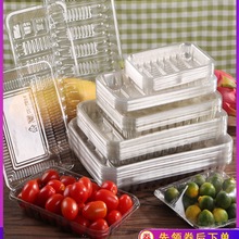 100�����lһ����PET�����бP����ˮ���߲˰��b��͸���ͺ����r���b