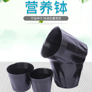 �������l���I�B��I�B�S�Һ�ɫ���绨���������ϱ��l�����Ӻ���