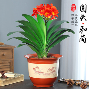 �����m���ԈA�^�����҃Ȏ��������绨���ļ��_�����B�Gֲ����ֲ��