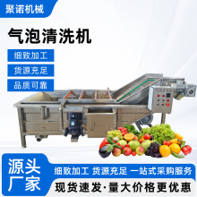 小龙虾中药材清洗机蔬菜气泡清洗机山野菜番茄秋葵高压喷淋清洗机