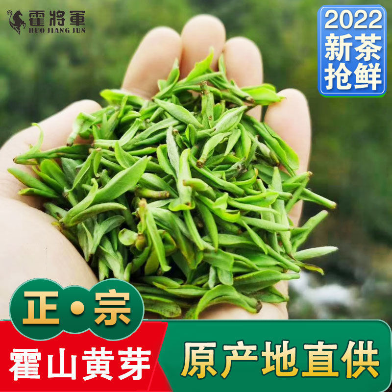 2022新茶霍山黄芽安徽茶叶黄茶叶浓香耐泡味浓250克500克装|ru