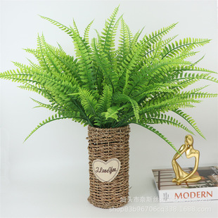 ֲ߲21~35~˹~߲Pβާ~ƬbGֲ