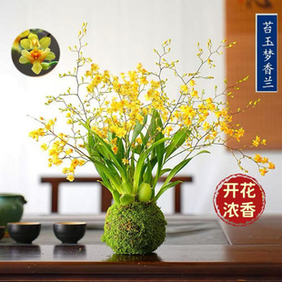 ������������ˮ�����m̦�\���������ܝ������҃ȿ͏d�����L��ˮ��