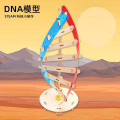 科技小制作DNA双螺旋结构模型手工diy人体基因生物科学实验器材料