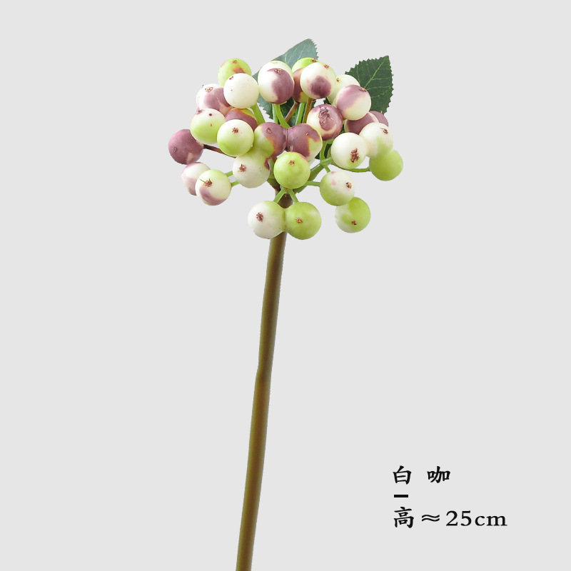 화이트 커피