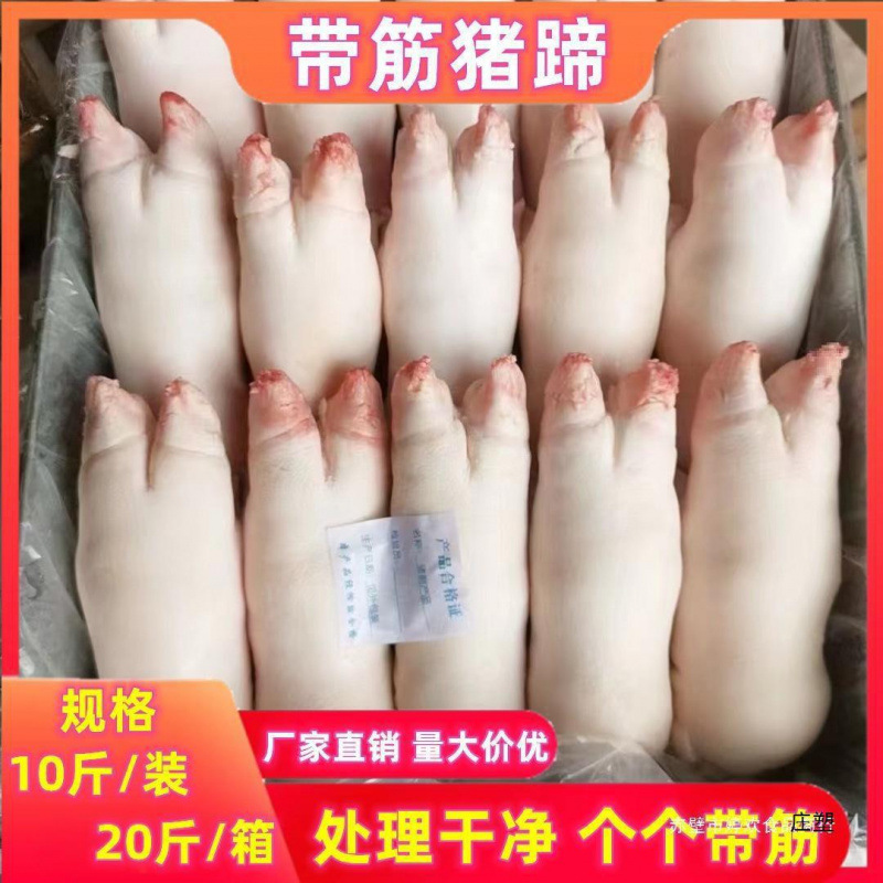 新鲜猪蹄 冷冻带筋香猪蹄 生鲜猪手斤整箱 猪肘子 饭店卤菜店食